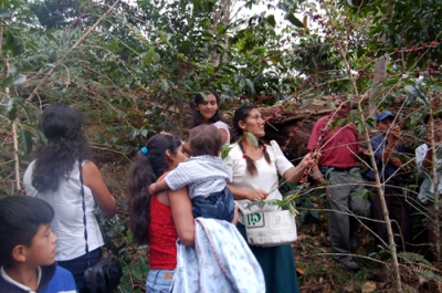 Women working the Cofee fields in Peru